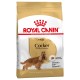 Royal Canin Cocker Adult - за кучета порода английски и американски кокер шпаньол на възраст над 12 месеца 3 кг.